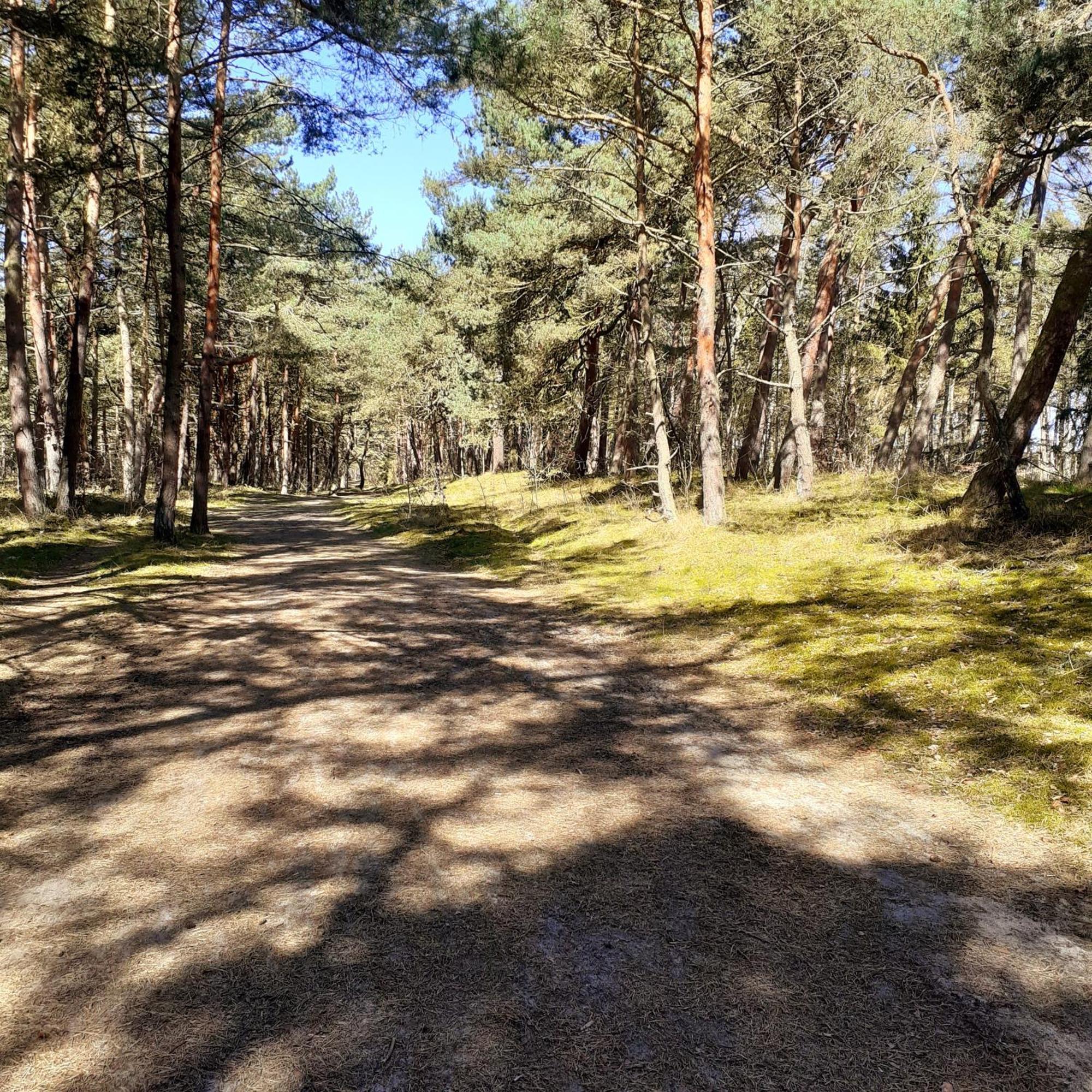 Wakacyjny Przystanek Apartmán Władysławowo